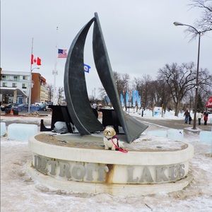 Meet your Posher, Bailey